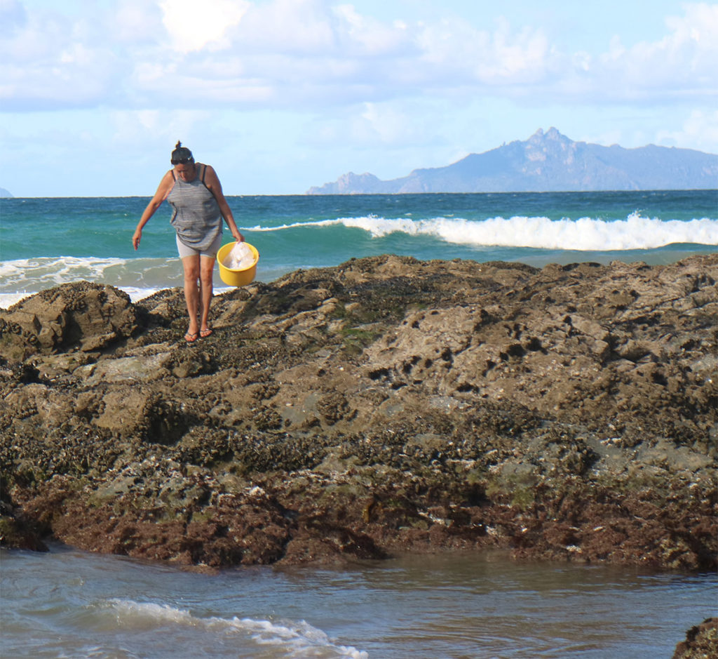 Economics & Decision Support - Marine Biosecurity Toolbox